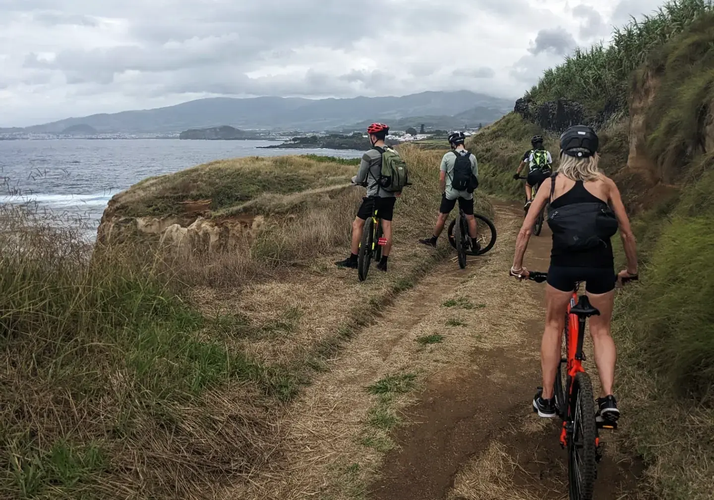 Scott / Bergamont - Photo 1